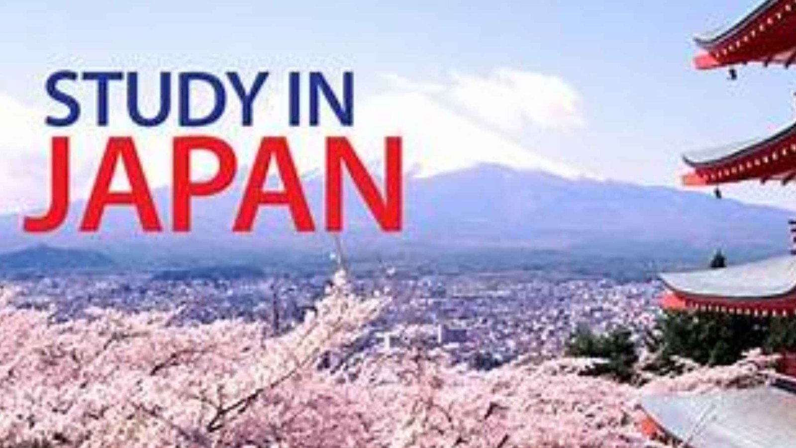 Study in Japan: Universities, Costs, Admissions, and Culture