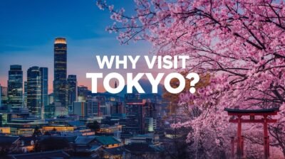 Why Visit Tokyo?