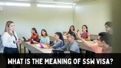 What Is the Meaning of SSW Visa?